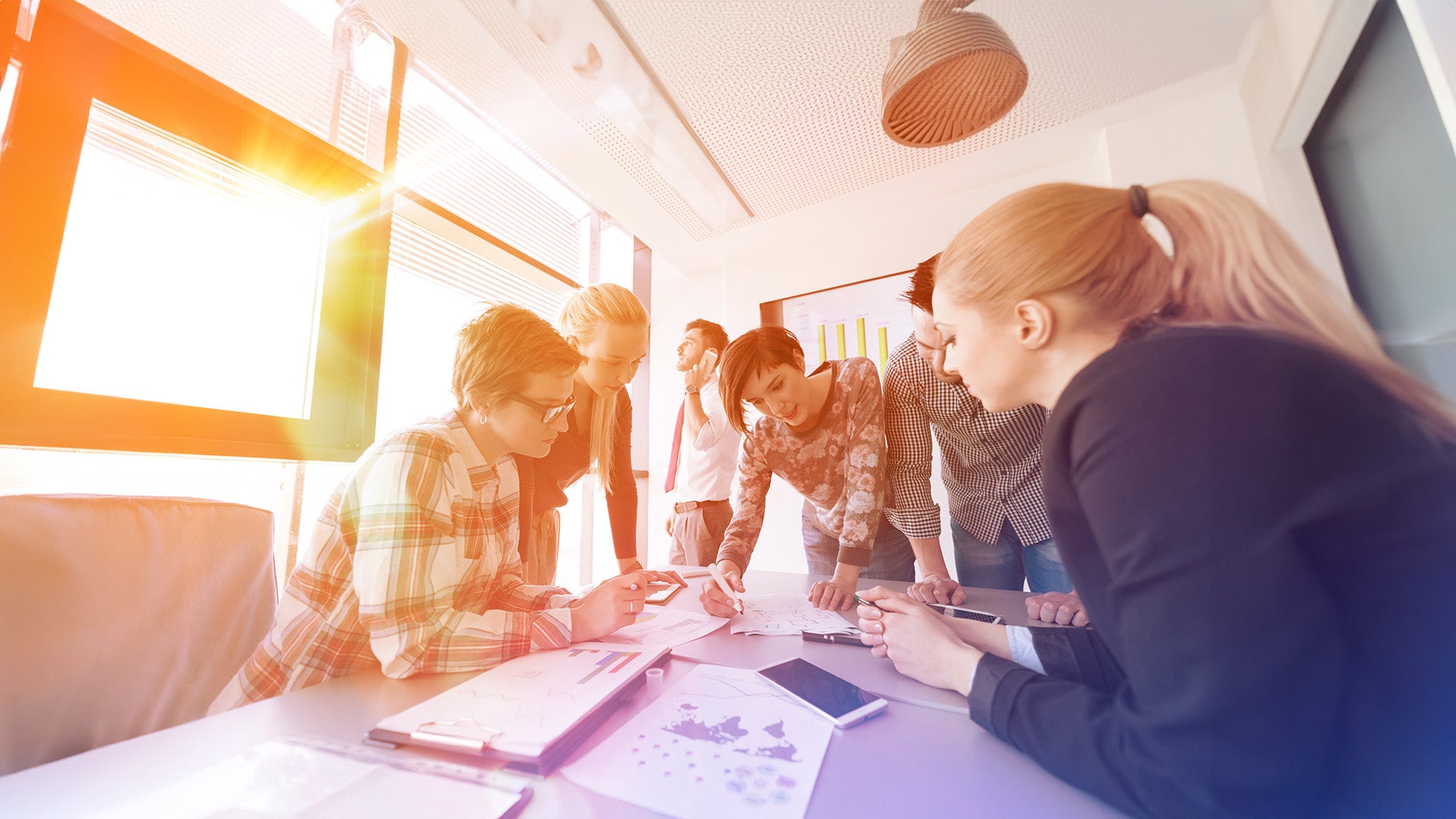 Graduate Diploma in International Business