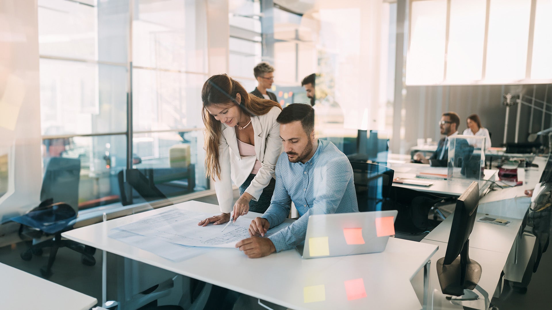 Graduate Diploma in Business (Enterprise Leadership)