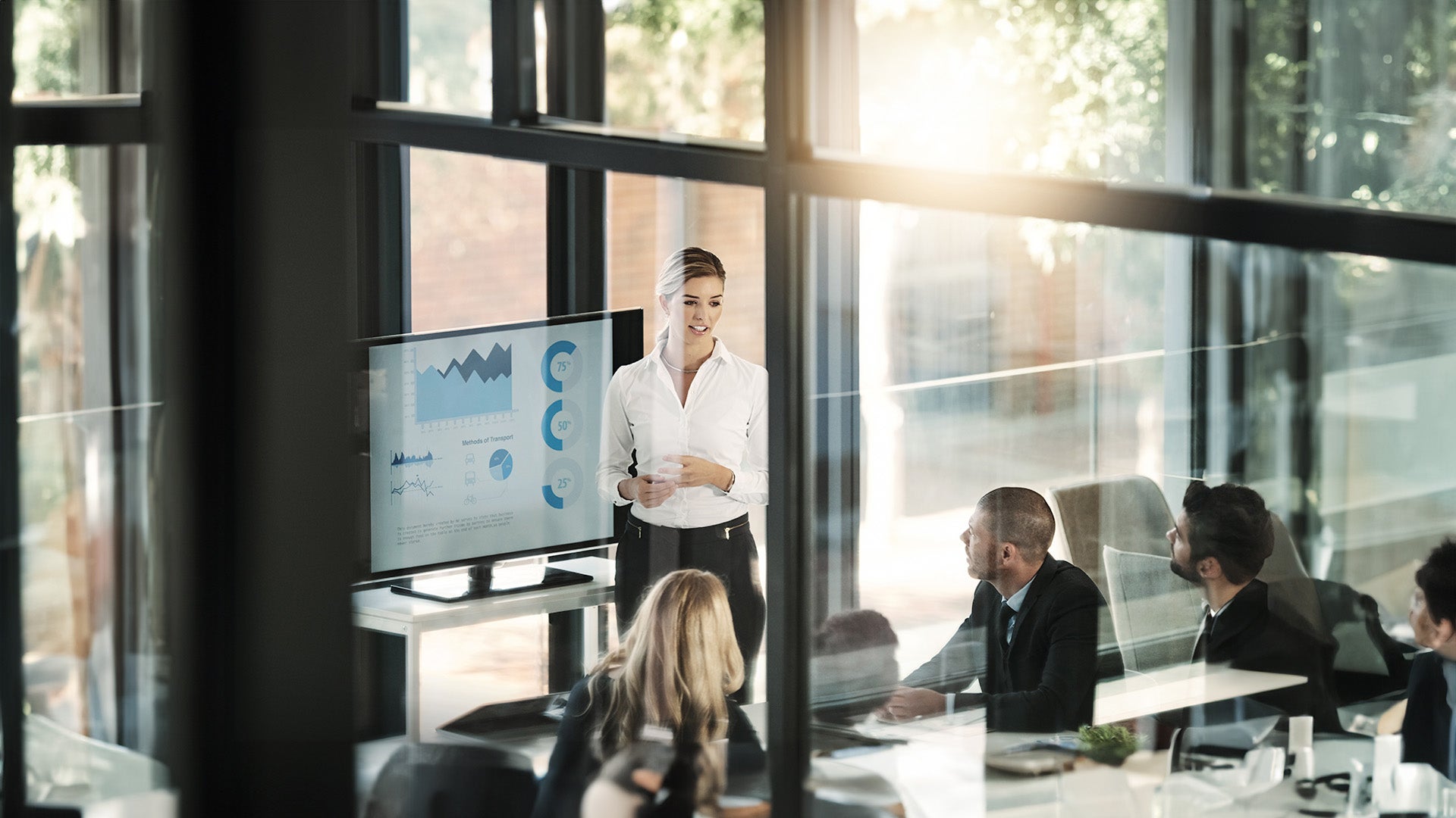 Master of Professional Accounting