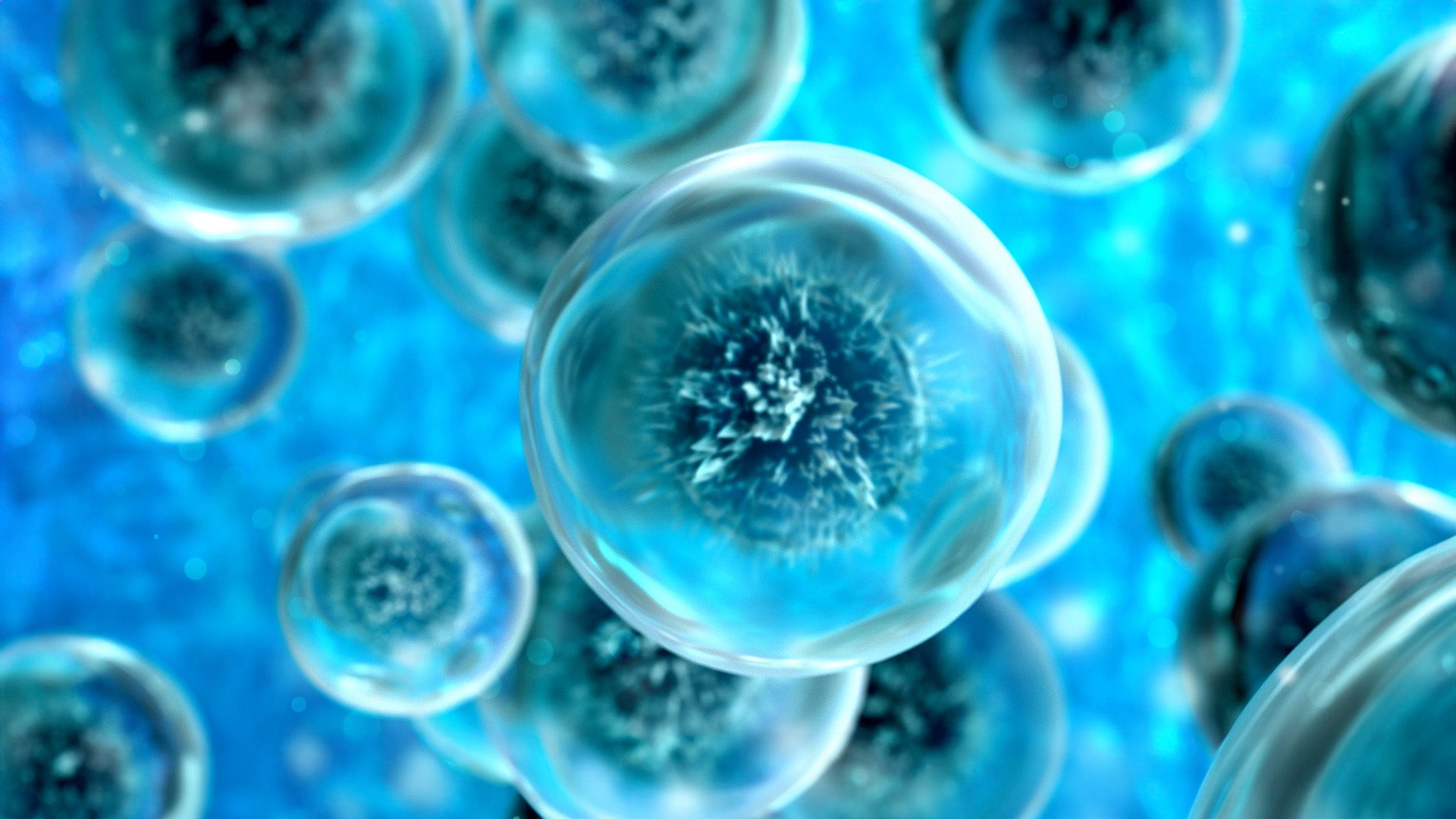 Graduate Certificate in Sustainable Business