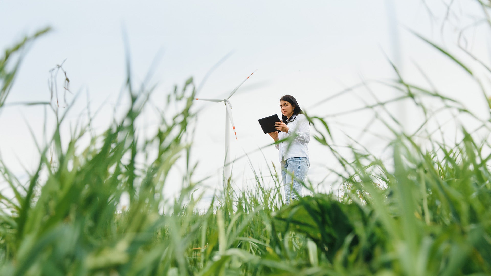 Graduate Certificate in Environmental and Business Management
