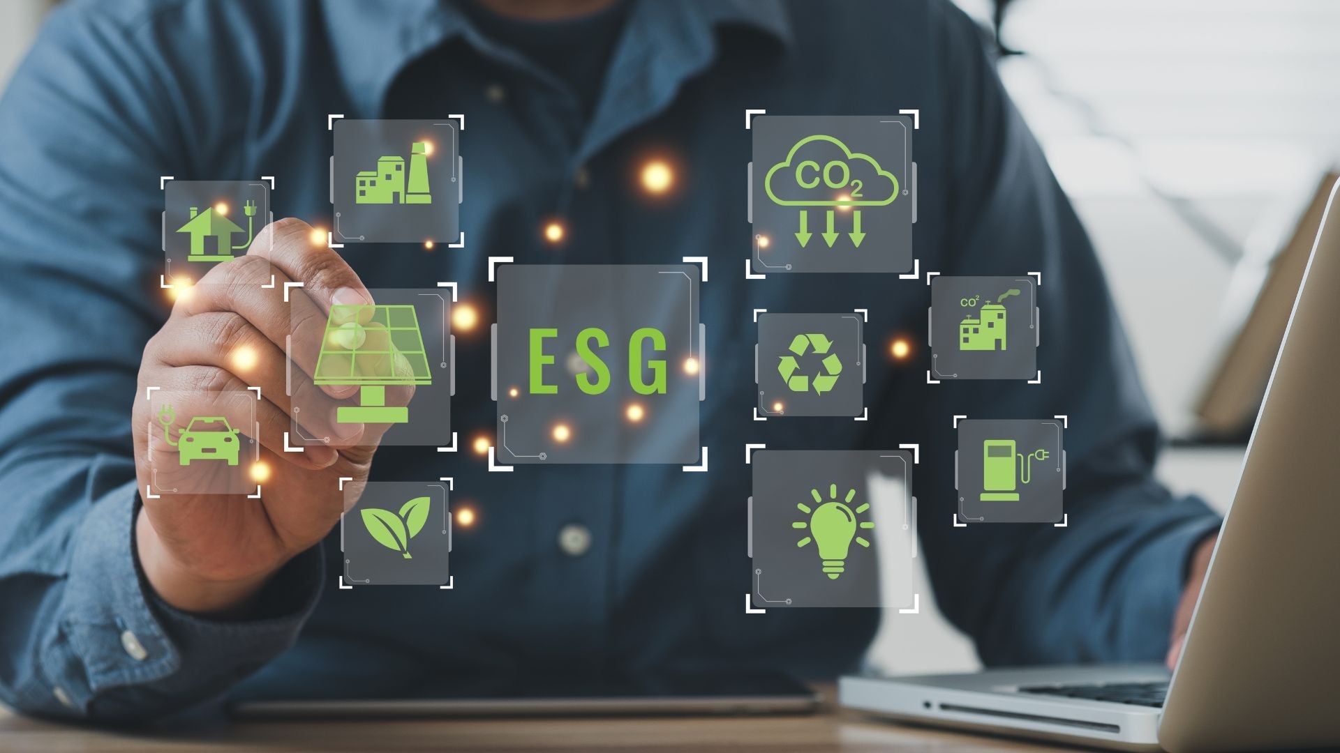 Sustainability: Building Resilience through Leadership