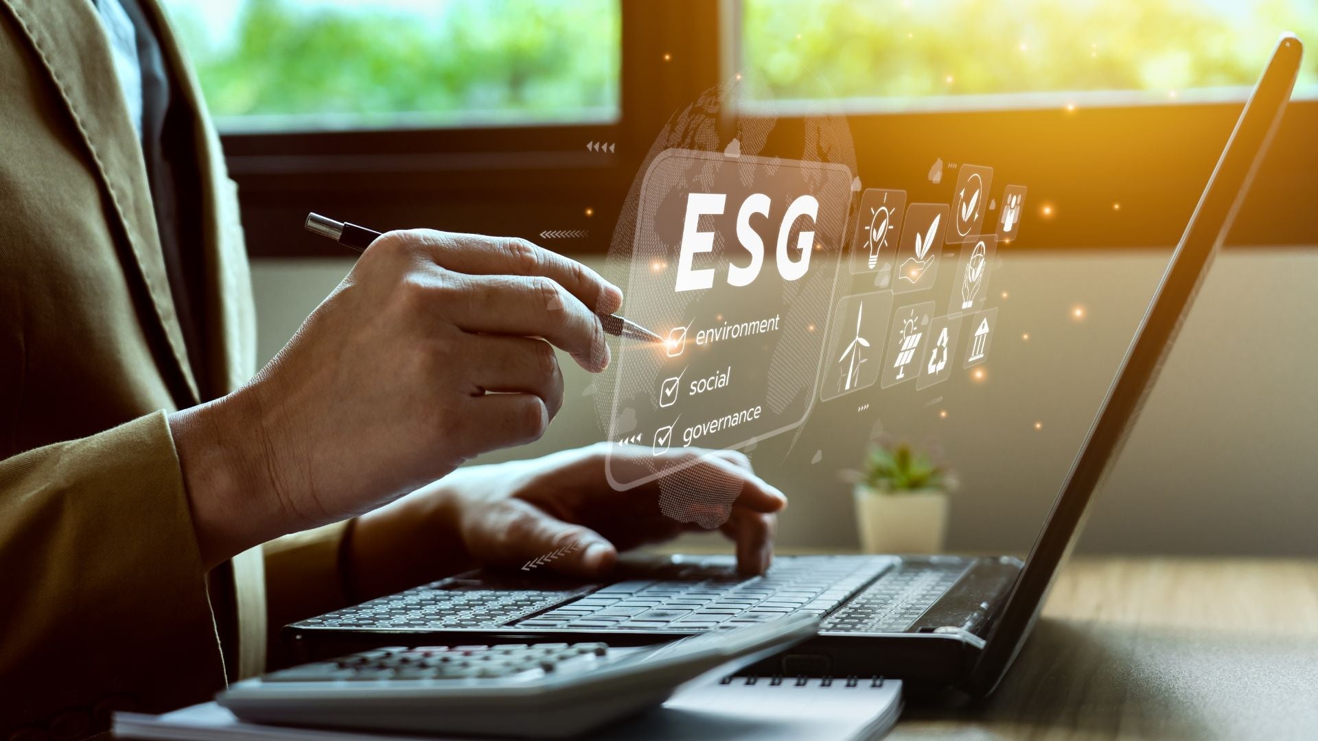 Sustainability: Reporting and Disclosure