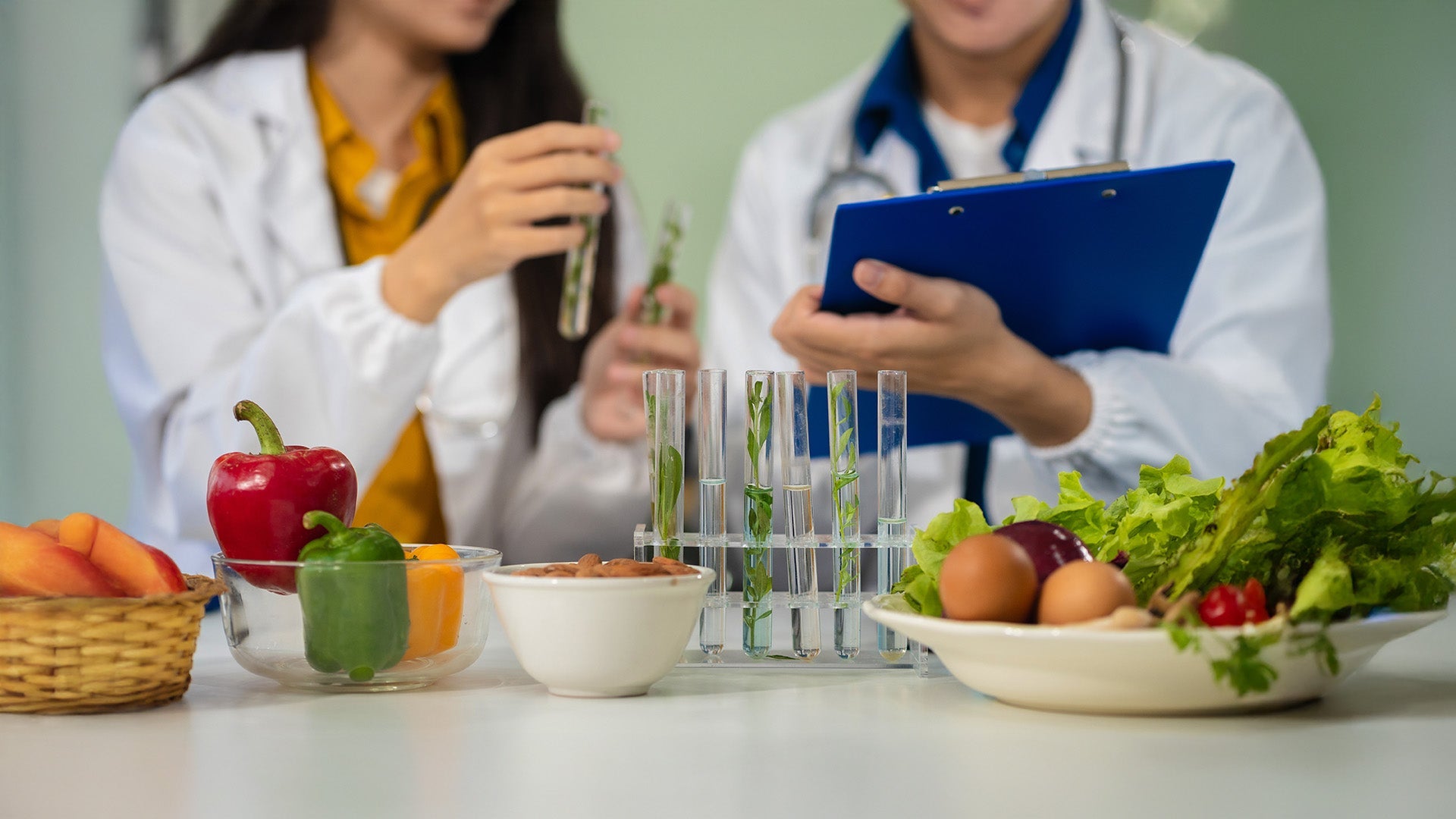 Master of Nutrition and Dietetics