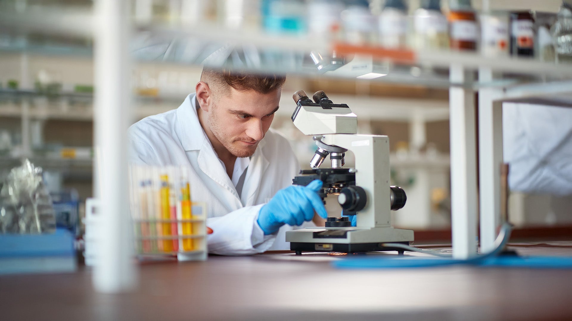 Graduate Certificate in Alcohol and Drug Studies
