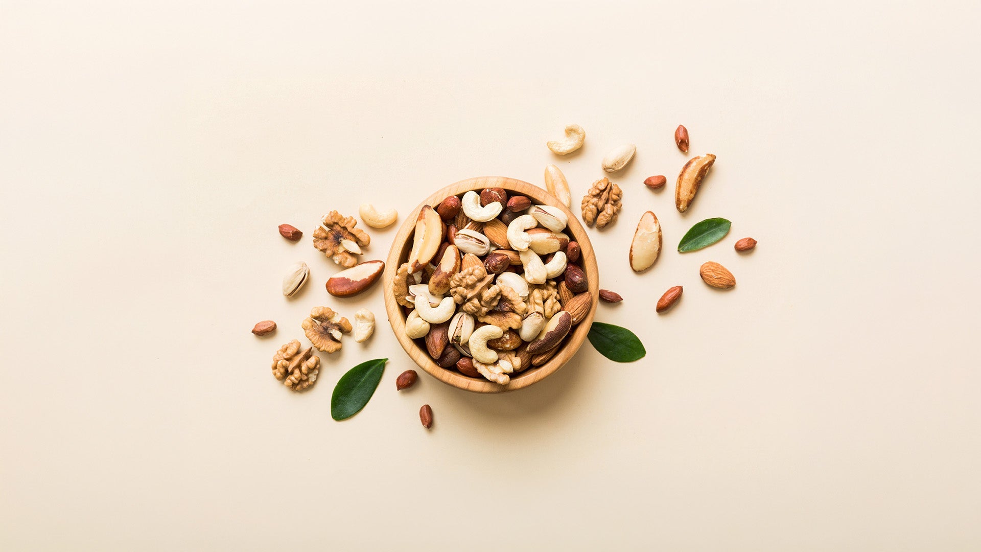 Master of Nutrition and Dietetic Practice