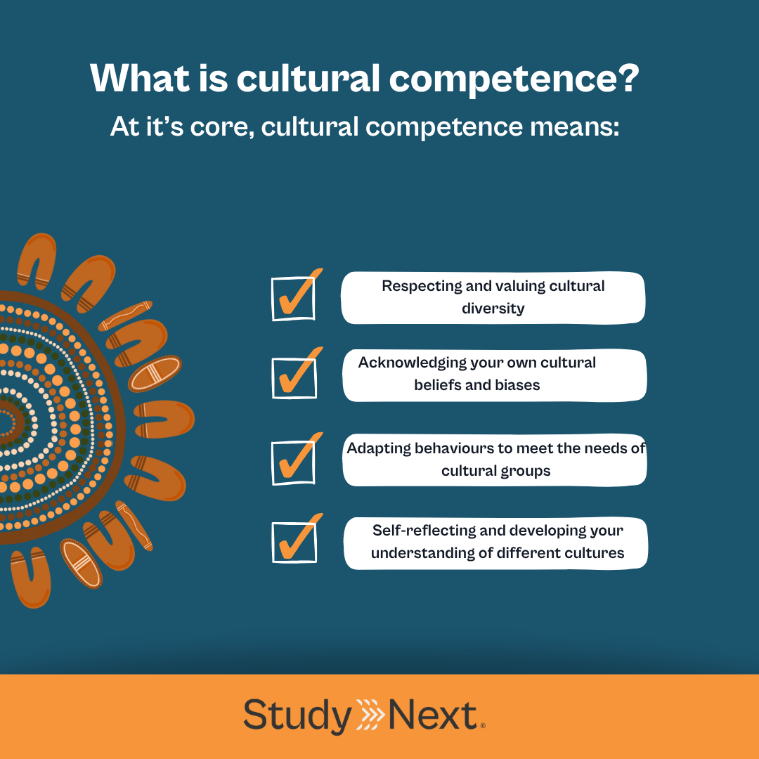Cultural competence healthcare 2