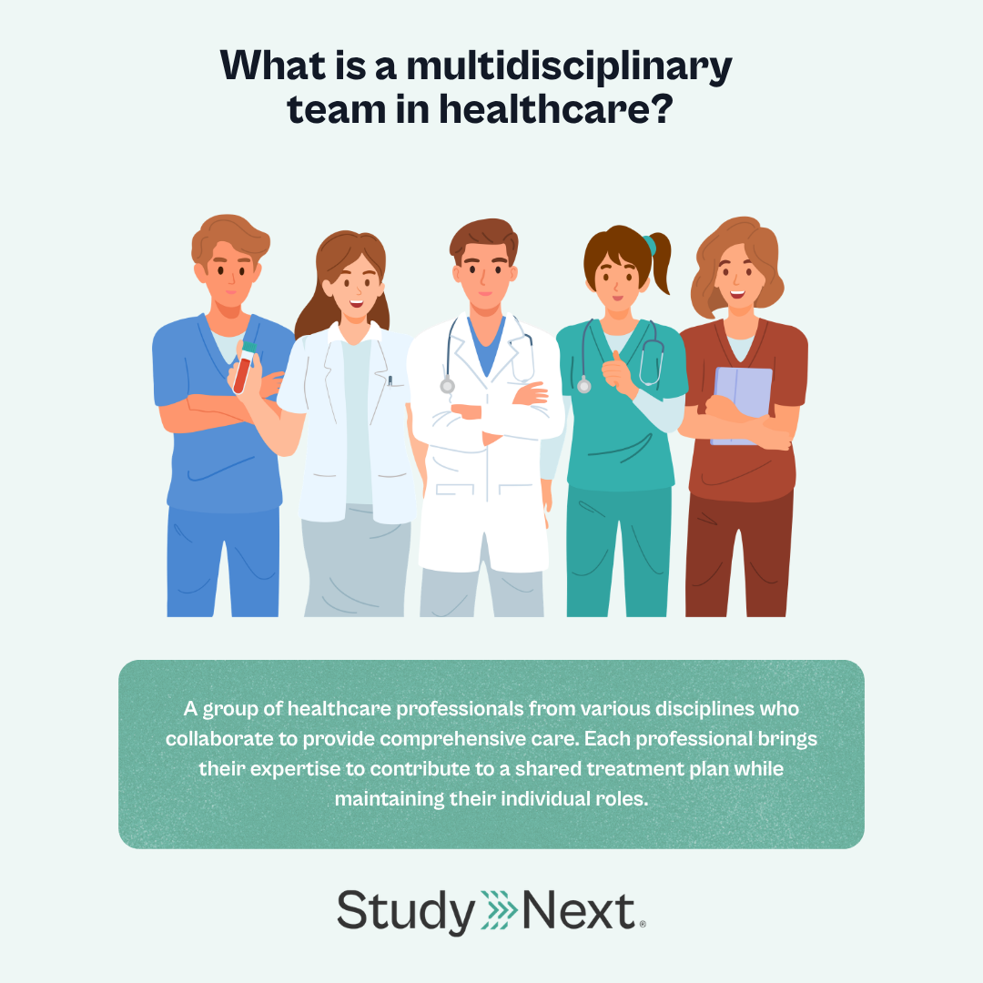 Multidisciplinary healthcare teams 2