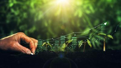 Graduate Certificate in Agribusiness