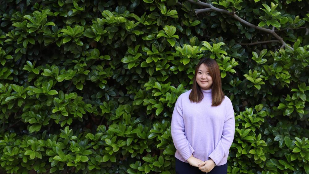 Header background