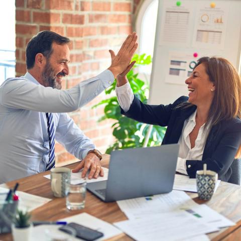 Managing Director vs. CEO — Understanding the Difference