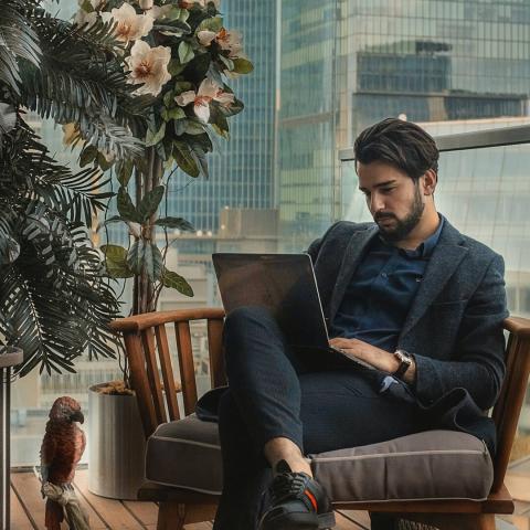 What Skills Does An MBA Give You?