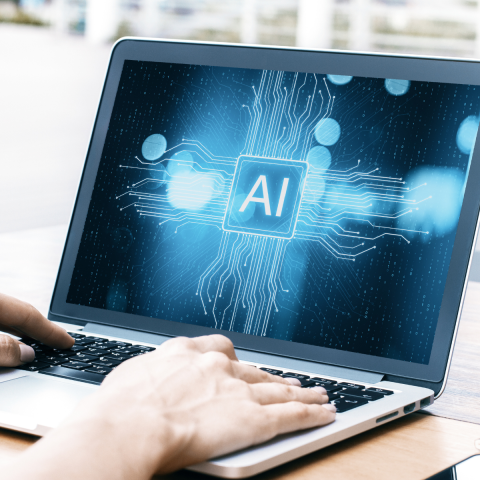 Individual using AI on a computer